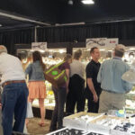Colorado Mineral and Fossil Show | Denver Gem and Mineral Show
