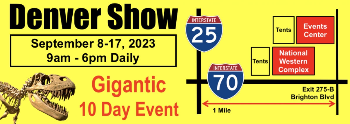 Denver Mineral, Fossil, Gem & Jewelry Show | Denver Gem and Mineral Show