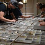 Just Minerals and Crystals Event Denver 2024