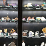 Colorado Mineral and Fossil Show 2024