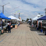 Miner’s Co-op Show 2024