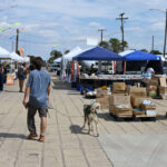 Miner’s Co-op Show 2024