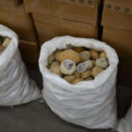 Denver Mineral, Fossil, Gem & Jewelry Show 2024