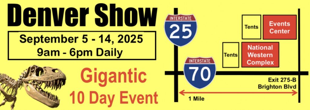 Denver Mineral, Fossil, Gem & Jewelry Show